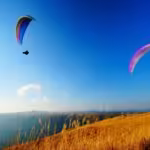 【阿蘇アクティビティ】見るだけじゃ損！大自然で遊ぶ「感動体験」厳選5選｜乗馬・E-MTB・空の旅