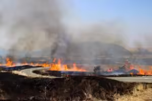 【阿蘇の野焼き】日本最大級の「炎の祭典」はいつ？絶景ポイント（大観峰・米塚）と見学マナー完全ガイド