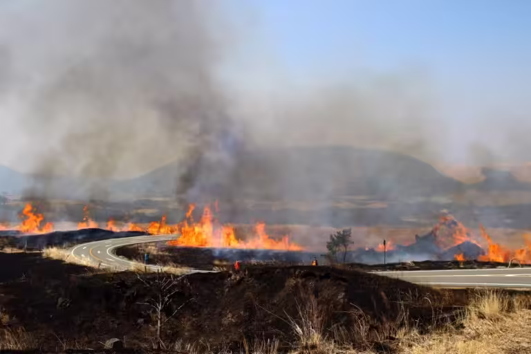【阿蘇の野焼き】日本最大級の「炎の祭典」はいつ？絶景ポイント（大観峰・米塚）と見学マナー完全ガイド