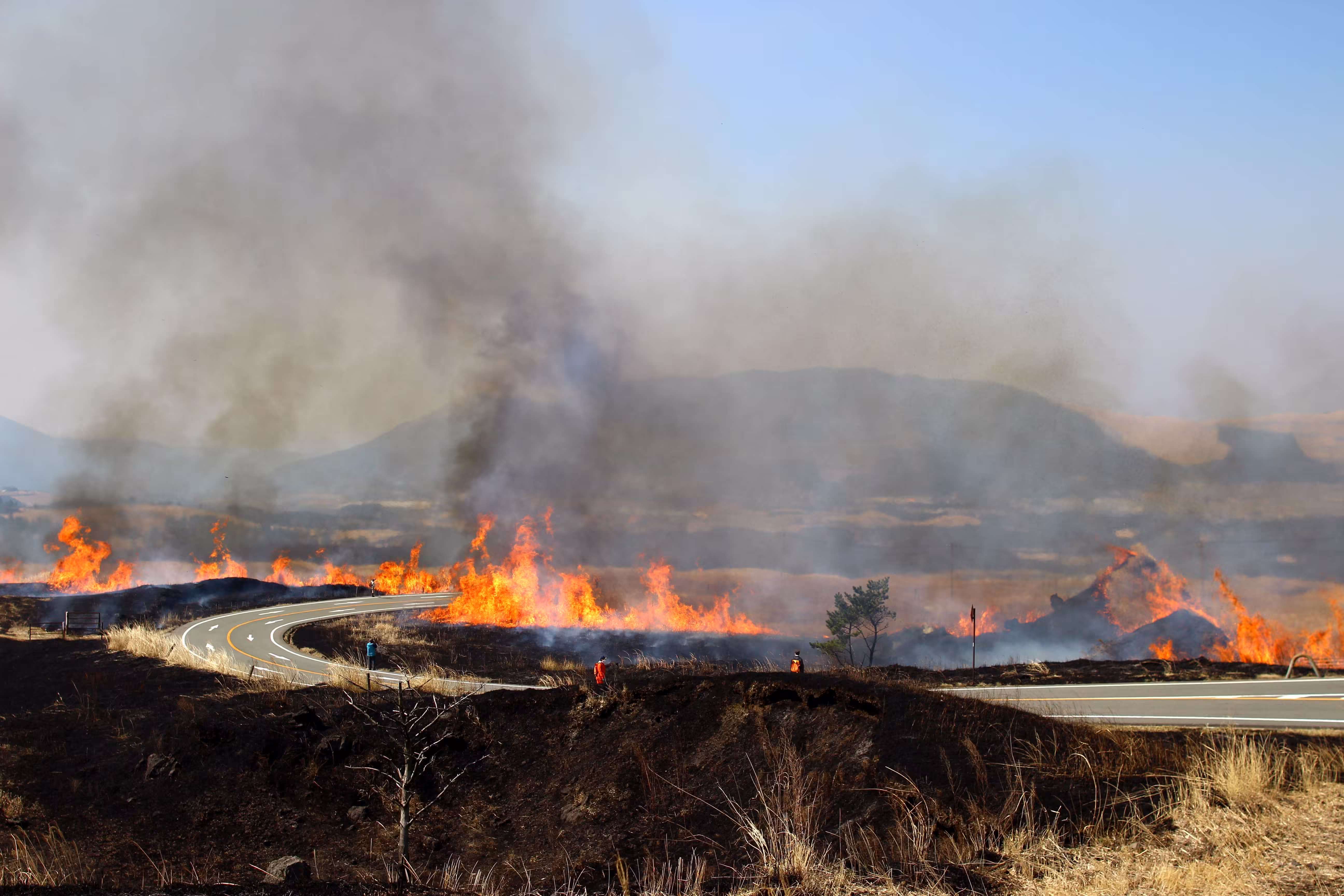 【阿蘇の野焼き】日本最大級の「炎の祭典」はいつ？絶景ポイント（大観峰・米塚）と見学マナー完全ガイド