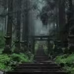 【阿蘇】雲海と神秘の神社を巡る「朝活」モデルコース｜混雑回避で絶景を独り占め