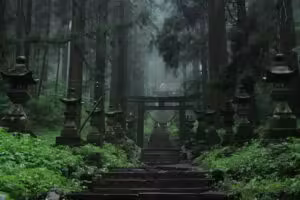 【阿蘇】雲海と神秘の神社を巡る「朝活」モデルコース｜混雑回避で絶景を独り占め