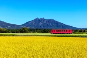 【南阿蘇】まるで異世界…「上色見熊野座神社」と「白川水源」を巡る、水と森の癒やし旅モデルコース