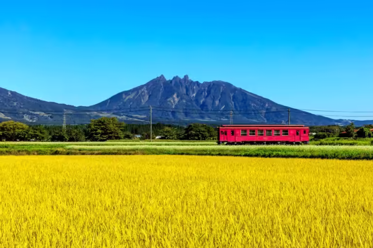 【南阿蘇】まるで異世界…「上色見熊野座神社」と「白川水源」を巡る、水と森の癒やし旅モデルコース