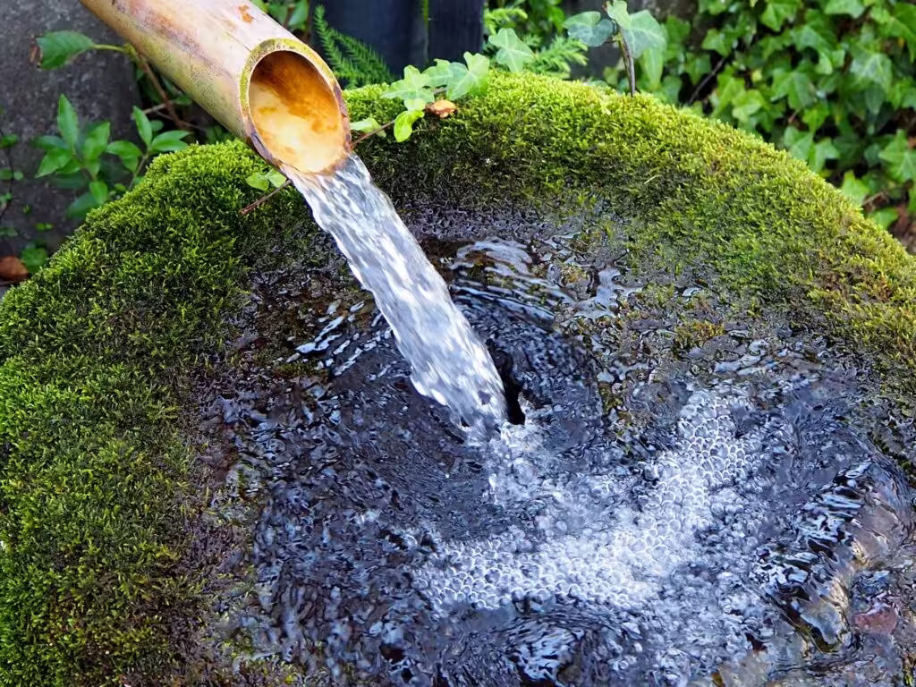 【阿蘇神社】完全復活の楼門と「水基巡り」観光ガイド｜食べ歩き＆絶品あか牛ランチ・駐車場情報の画像