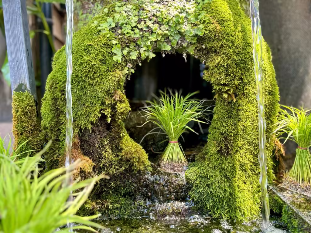 【2025年版】初めての阿蘇観光ならこれ！阿蘇神社・あか牛・火口を巡る「王道ゴールデンルート」完全ガイドの画像