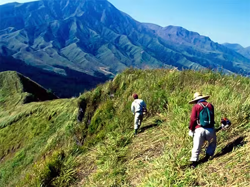 【阿蘇の野焼き】日本最大級の「炎の祭典」はいつ？絶景ポイント（大観峰・米塚）と見学マナー完全ガイドの画像