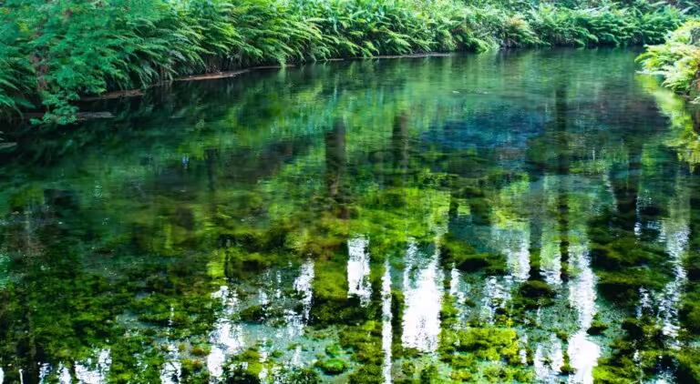【白川水源】毎分60トンの奇跡！「日本名水百選」の水汲み＆1000年の草原が守る水の秘密｜南阿蘇カフェ・ランチ情報