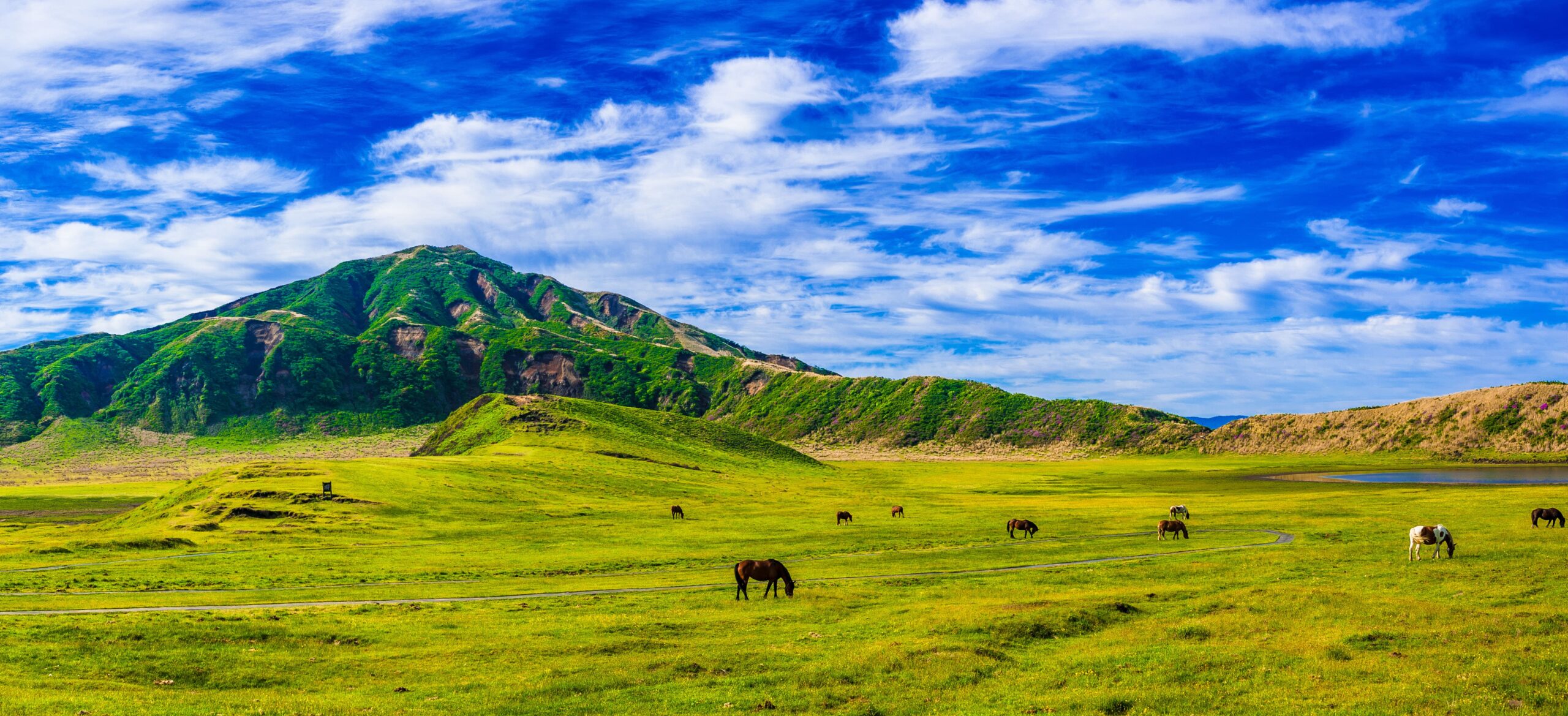 【2025年最新】阿蘇・草千里ヶ浜 完全ガイド｜絶景カフェ・乗馬・駐車場混雑回避まで