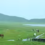 【阿蘇・雨の日観光】雨こそ絶景！情緒あふれる「大人の雨旅」スポット5選｜神社・温泉・そば打ち体験