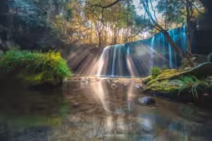 【鍋ヶ滝完全ガイド】予約なしは入れない？絶景「光のカーテン」と裏見の滝攻略法｜小国そば街道・ランチ情報