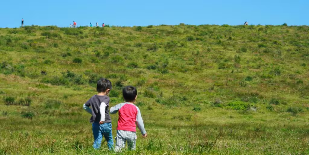 【阿蘇】子連れ旅行で絶対に失敗しないモデルコース｜動物・体験・雨の日OKの最強プラン