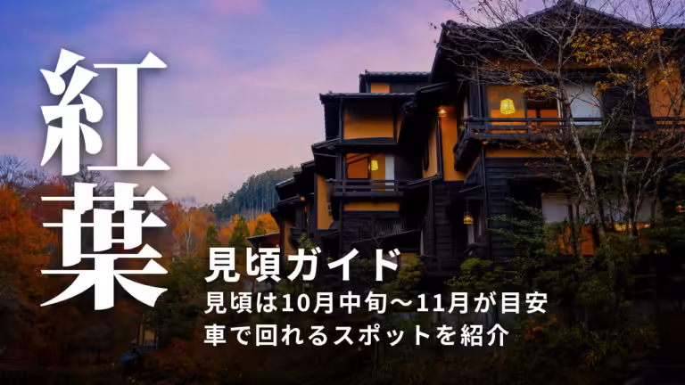 【阿蘇の紅葉】見頃はいつ？車で行けるスポットと色づきの調べ方