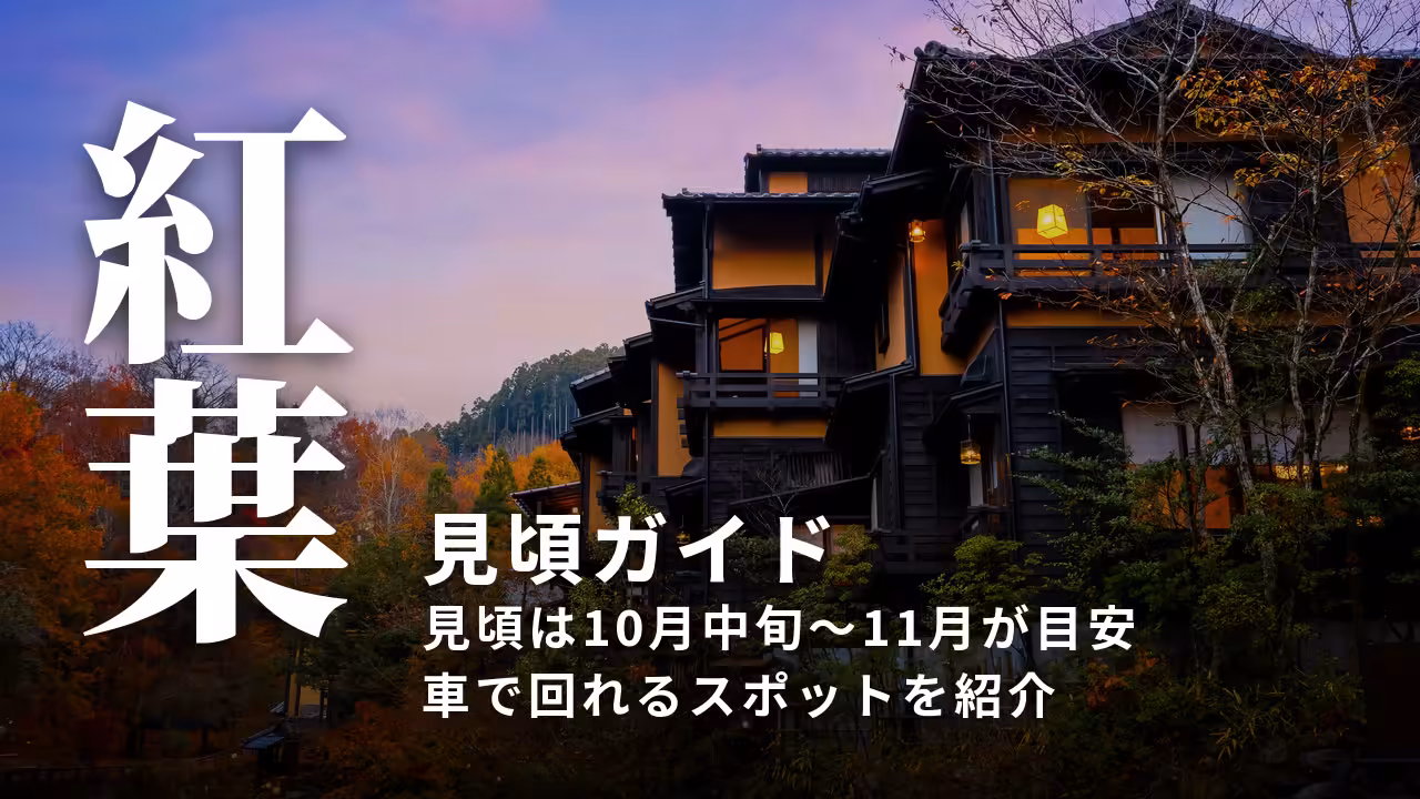 【阿蘇の紅葉】見頃はいつ？車で行けるスポットと色づきの調べ方